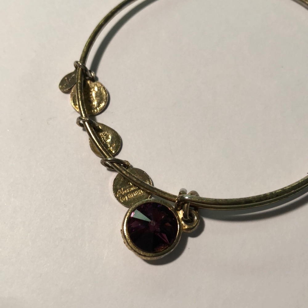 Alex and Ani Gold Purple Pendant Bangle